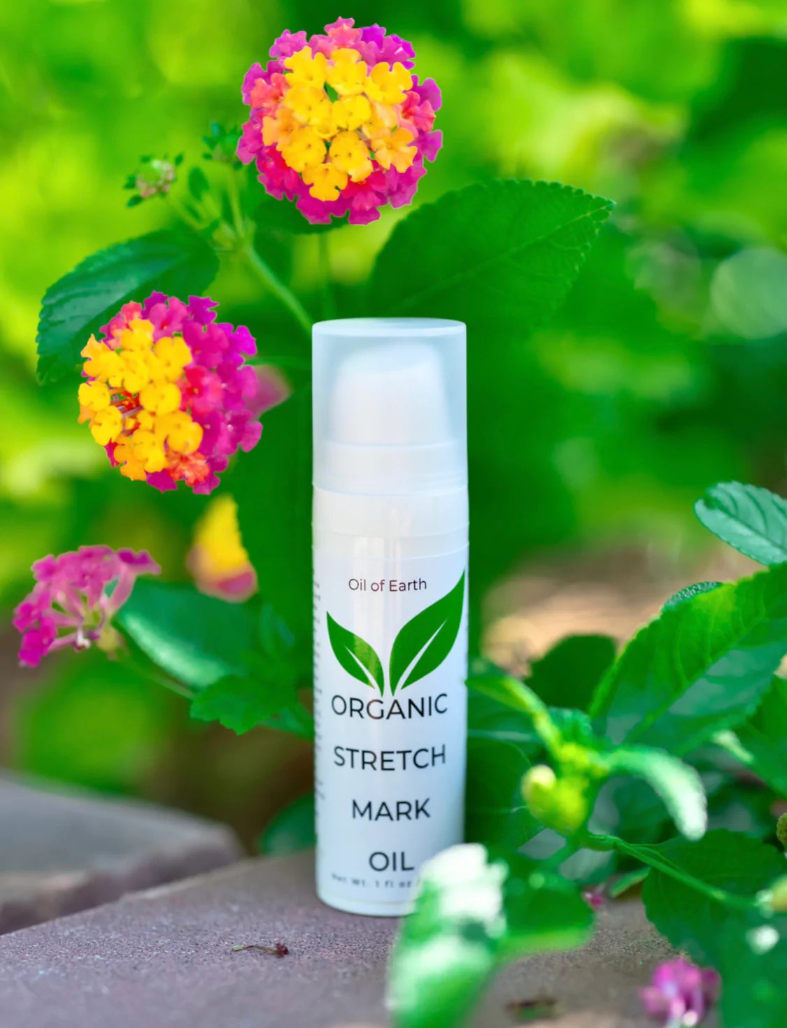 Product Alert - Organic Cold-pressed Stretch Mark Oil