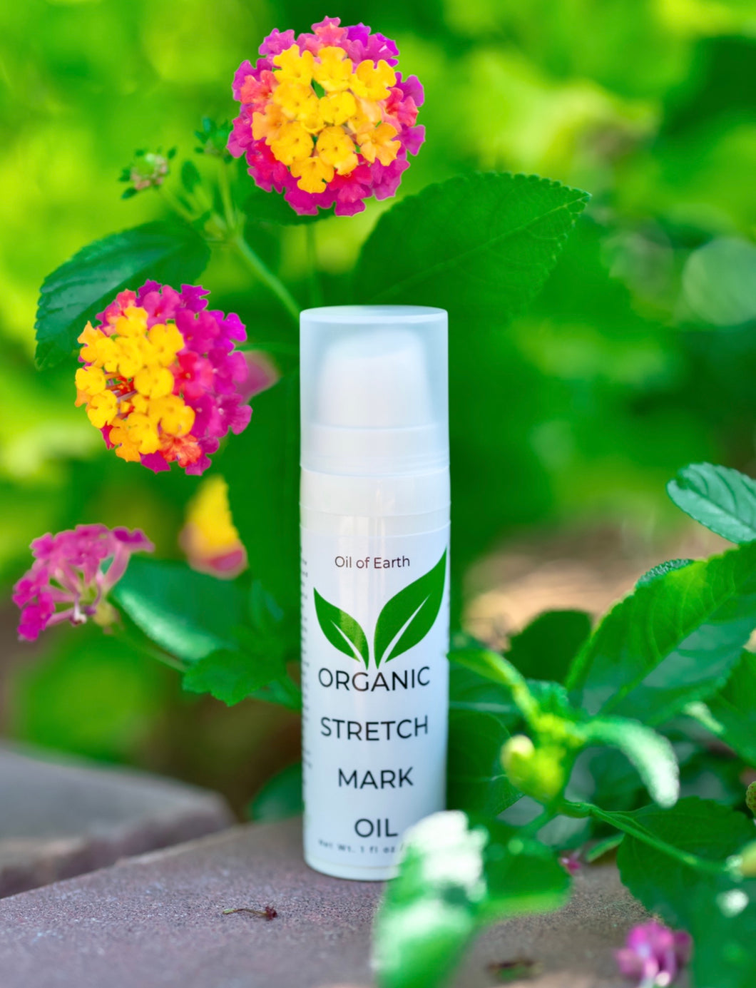 Organic Cold-pressed Stretch Mark Oil