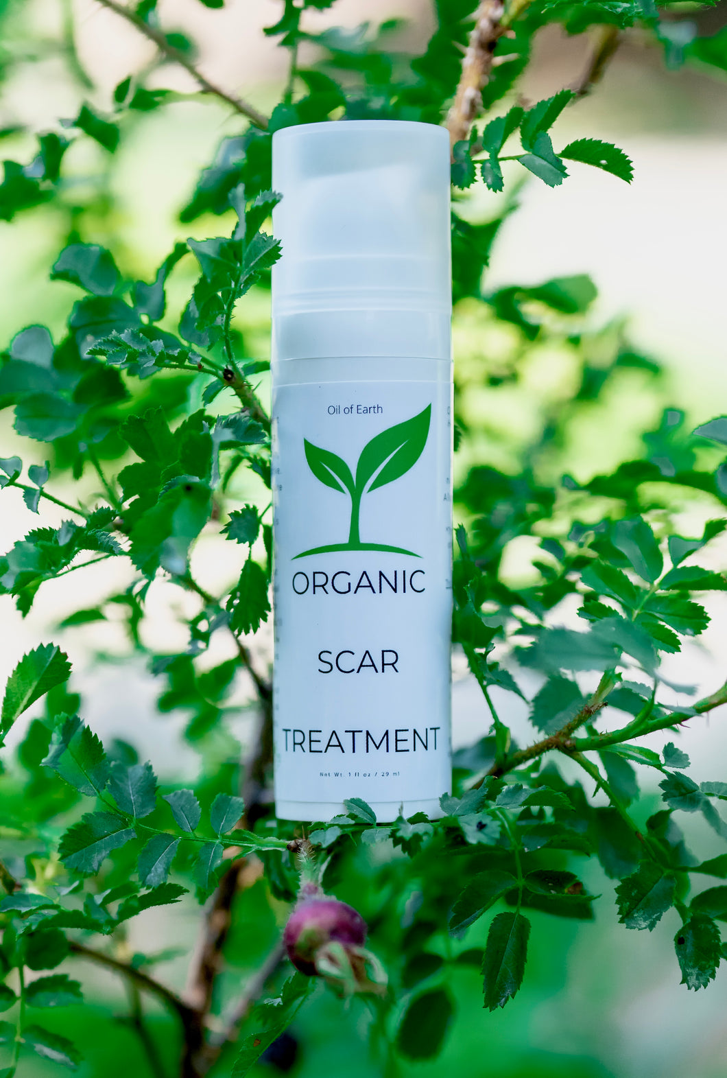 Organic Cold-Pressed Scar Treatment